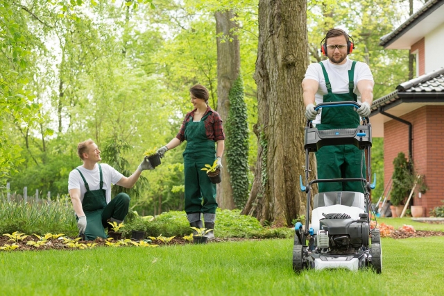 Transforming Your Outdoor Space: The Power of Lawn Repair and Yard Cleaning Services