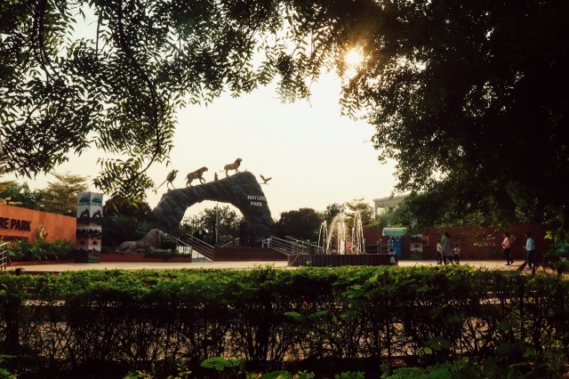 Fuel Your Wanderlust: A Homestay Journey Through the Diverse Delights of Gujarat