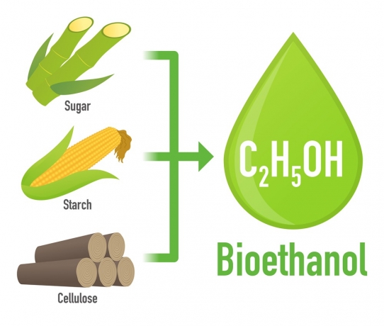 Bioethanol Market Share: Key Players and Market Competition