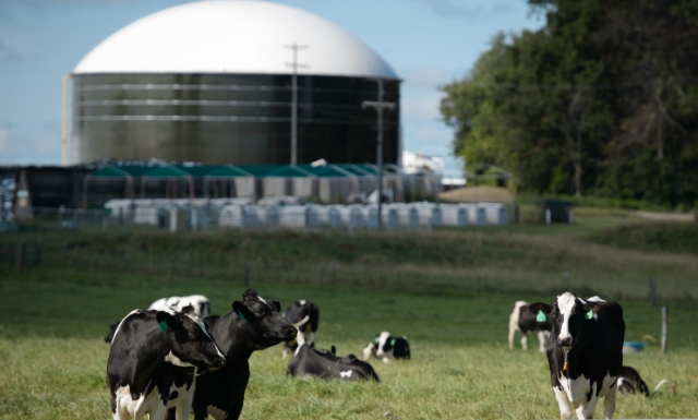 Elevate Your Entrepreneurial Journey: How USDA Grants Can Propel Your Small Business Forward