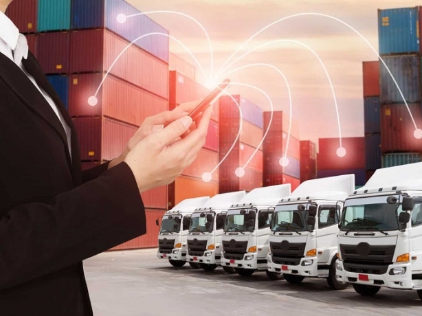 What Challenges Do Freight Transport Managers Face