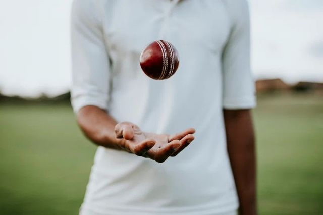 Joining the Ranks of Elite Cricket Fans: The Reddy Anna Club Experience