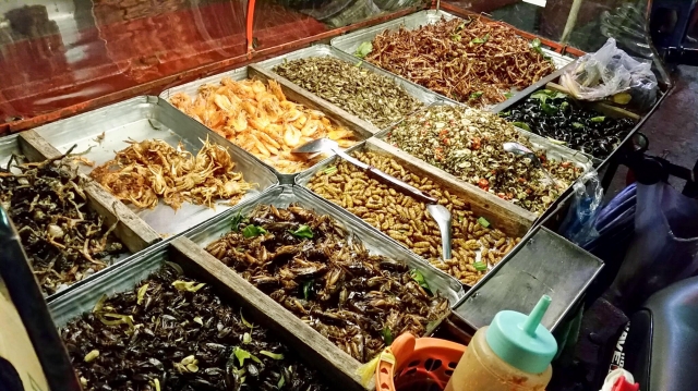 Edible Insects Market Trends and Growth Forecast by 2031