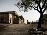 Unplug and Recharge: Homestays for a Digital Detox and Mindful Travel