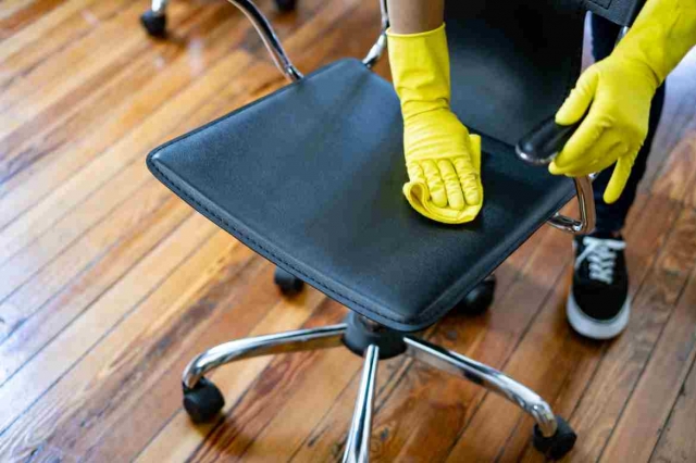 Restoring Order: Cleaning an Office After an Infestation