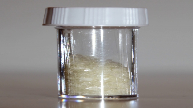 Bovine Serum Albumin Market Trends and Competitive Landscape Outlook -2031