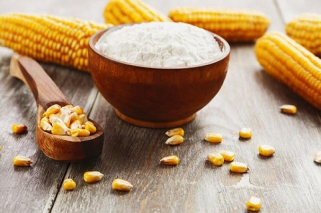Starch Derivatives Market Top Companies, Regional Growth and Forecast 2031