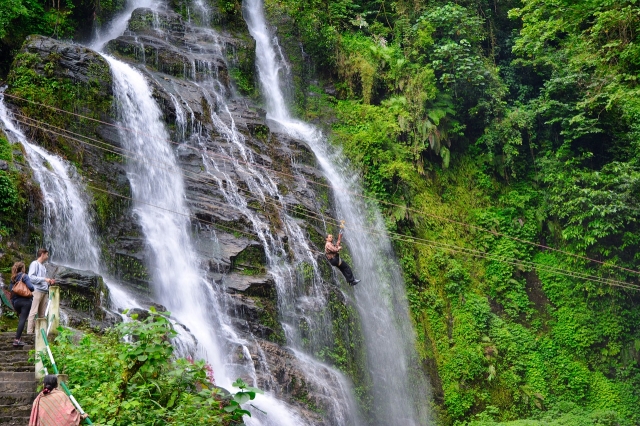 image from pixabay