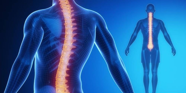 Guide to Healthy Spine with the Best Spine Specialist in Jaipur- Dr. Gaurav Sharma