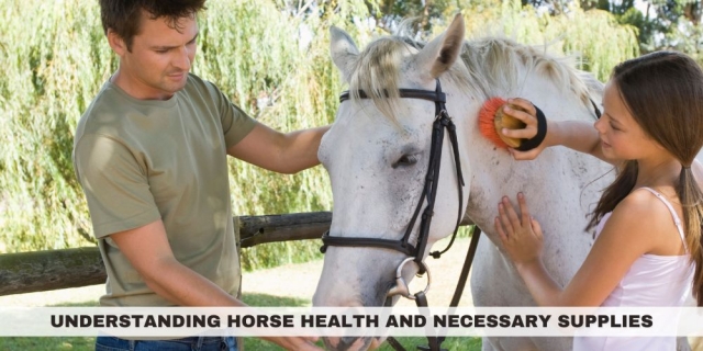 Horse Care