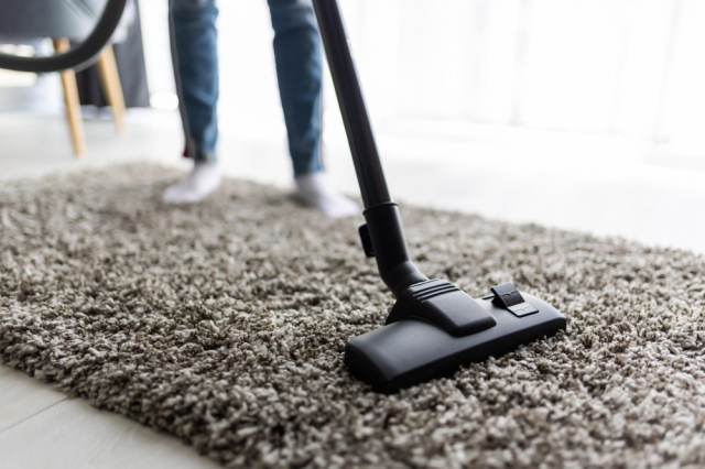 Revitalize Your Home with Professional Carpet Cleaning in Beveridge