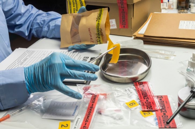 What Steps Are Involved in the Forensic Investigation Process in Canada?