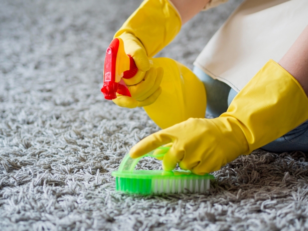 Eco-Friendly Carpet Cleaning Solutions for Sustainable Living in Gisborne