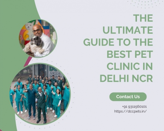 The Ultimate Guide to the Best Pet Clinic in Delhi NCR