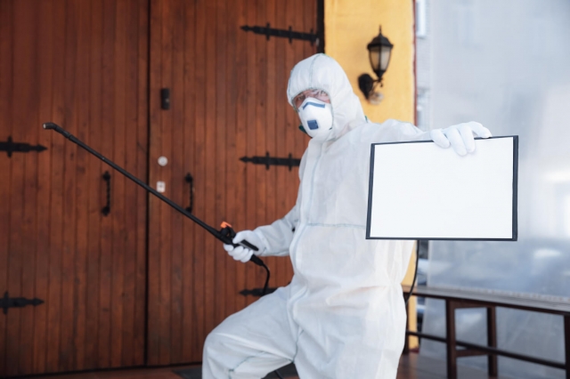 Keeping Faridabad: Pest-Free Effective Pest Control Solutions