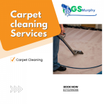 GS Murphy Carpet Cleaning Merrylands: Providing Expert Solutions for Clean and Healthy Spaces
