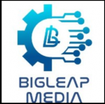 Digital Marketing Agency Spotlight: BigLeap-Media