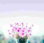 Online Flower Shop Sharjah: Elevating Your Celebrations with Birthday Flowers Delivery Dubai