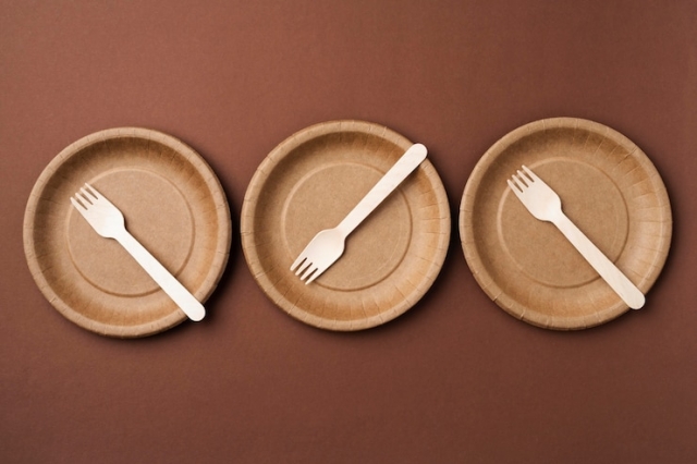 Eco-Friendly Disposable Plates: A Sustainable Solution for Modern Living
