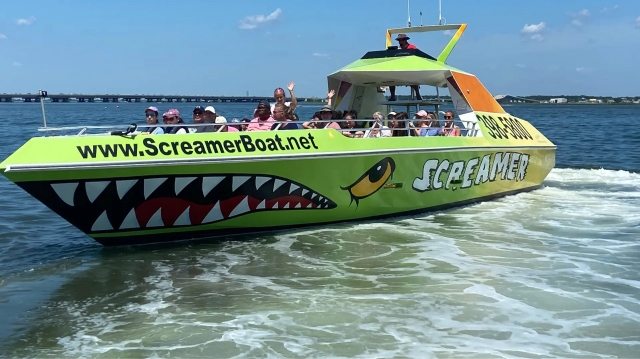 How to Choose the Right Speedboat Tour for Dolphin Sightings