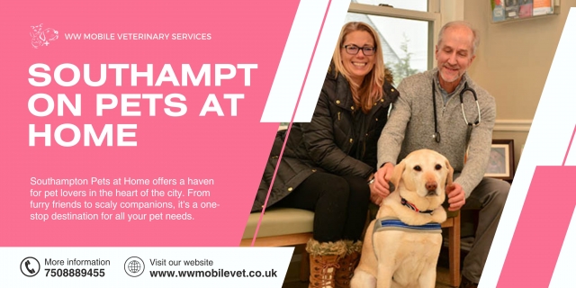 Convenient Pet Care: Pets at Home in Southampton | WW Mobile Veterinary Services