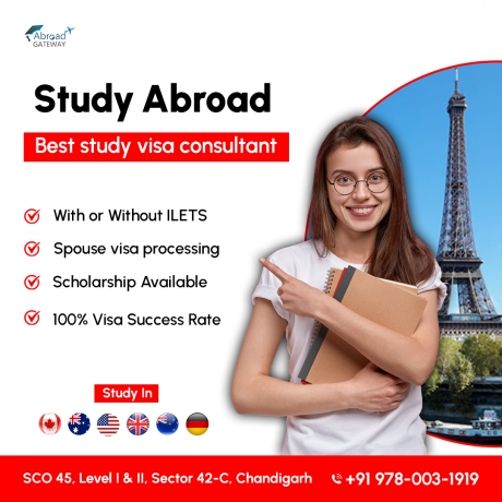 How Abroad Gateway has stepped up the ladders of Success over the years?