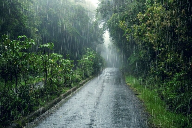 The Common Illnesses and Their Precautions During the Monsoon Season in India