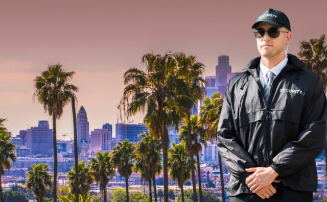 Private Security - An Overview of the Different Types of Services Offered by Most Security Firms
