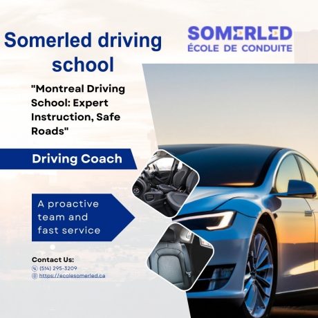 Master the Road with Somerled Driving School