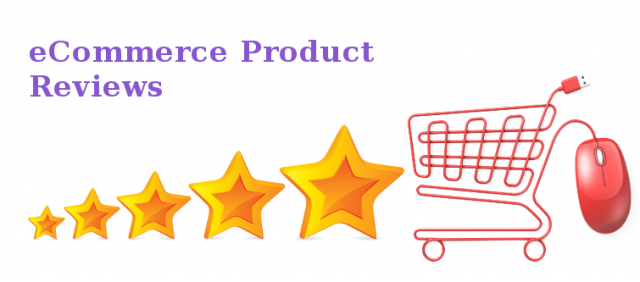 Maximizing Product Success Through In-Depth Review Analysis