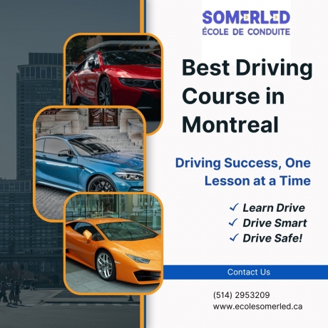 Somerled Driving School: Your Path to Safe and Confident Driving