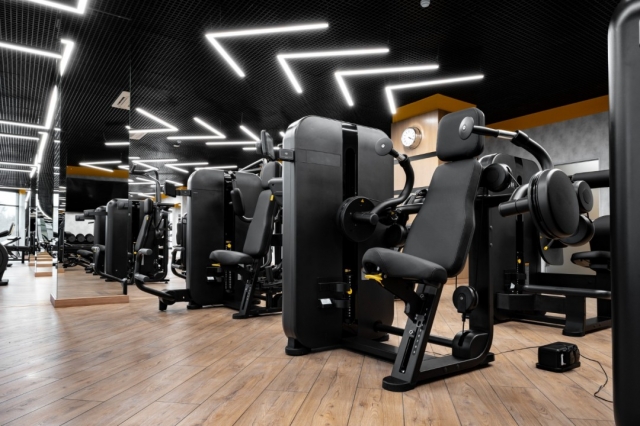 Fitness Equipment Market Dynamics: Insights and Outlook