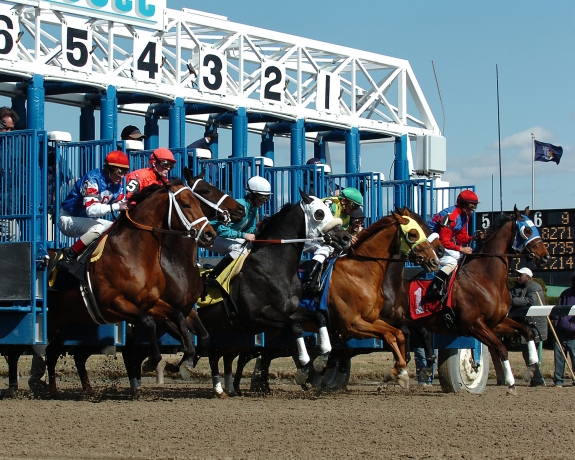 Horse Race A Comprehensive Exploration of its Evolution