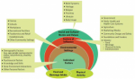 The Cultural, Nutritional, and Environmental Impact of Food