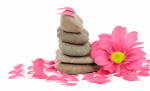 Discover Serenity and Healing at Our Premier Ayurveda Wellness Center
