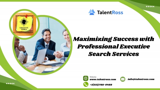 Maximizing Success with Professional Executive Search Services