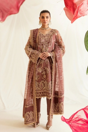 Luxury Redefined: Designer Salwar Kameez Collection by Pakistani Salwar Kameez