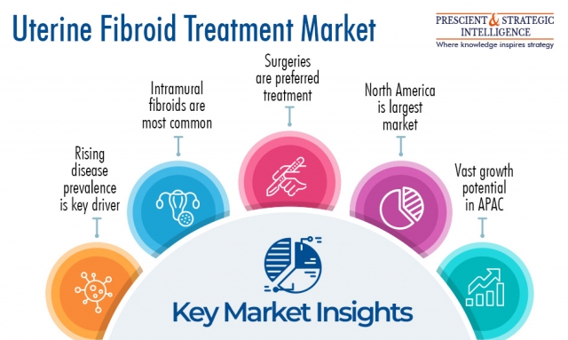 Uterine Fibroid Treatment Market Is Driven by Rising Healthcare Expenses 