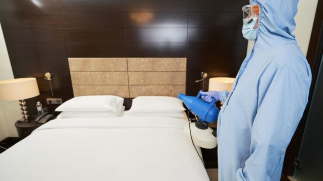 Foolproof Non-Toxic Bed Bug Treatment to Avoid Sleepless Nights
