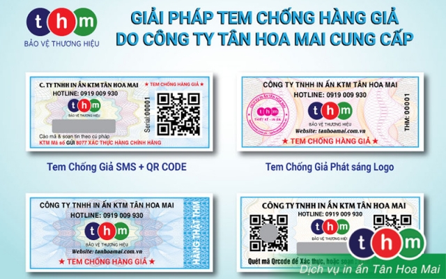 Chon Mat Gui Vang Tim Noi Mua Tem Chong Hang Gia Uy Tin