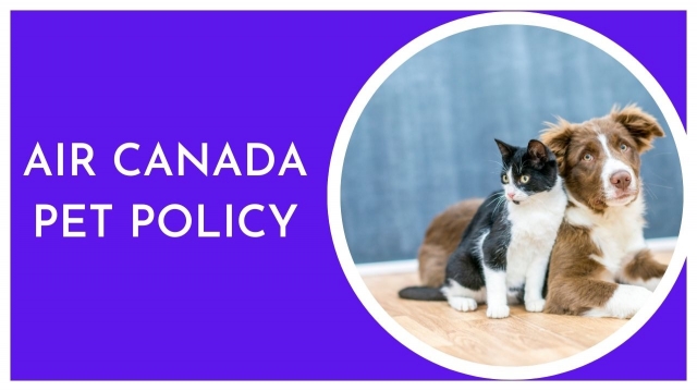 What is Air Canada pet policy?