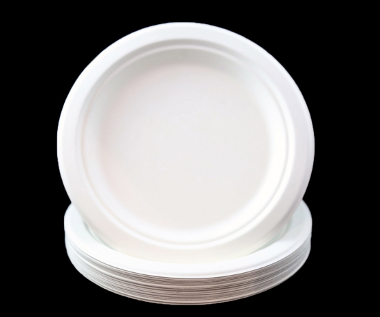 Biodegradable Tableware in the Hospitality Industry: Benefits and Challenges