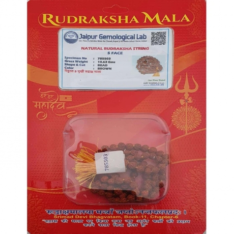 5 Face Rudraksha Mala