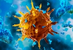 Plaque Reduction Assay Services to Advance Antiviral Research