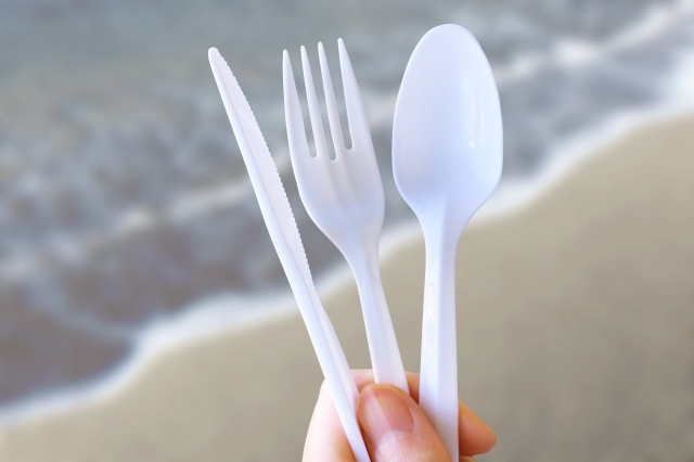 Disposable Cutlery Market Trends, Key Vendors Analysis and Forecast by 2031