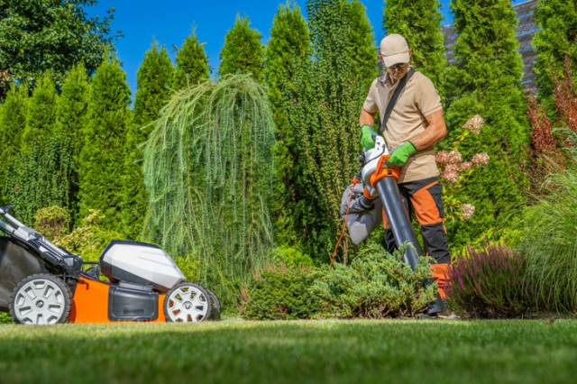 Lawn Master Services: 10 Tips for a Lush, Vibrant Lawn