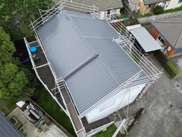 Choosing the Right Paint for Your Roof: A Complete Guide