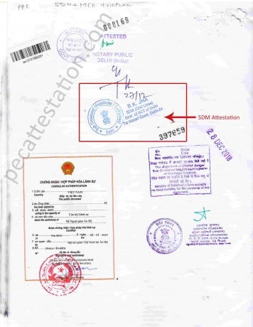Ensuring Your Educational Documents for Study Abroad: The Role of SDM Attestation