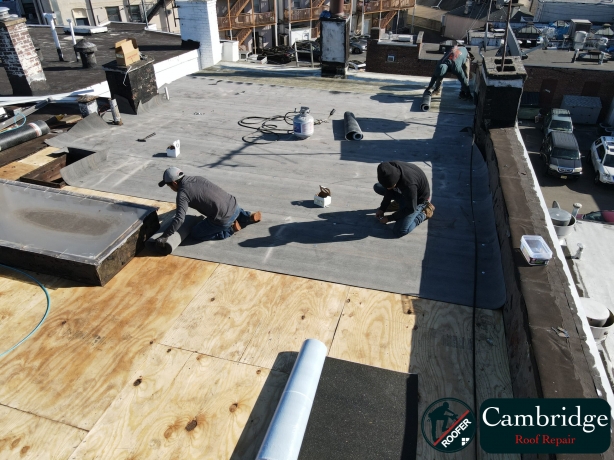 Your Go-To Roofing Experts in New Jersey: Cambridge Roof Repair