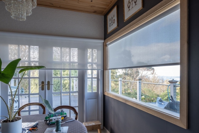 Transform Your Home with Premium Blinds in Sydney: Blinds n Co